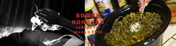 ГАЛЛЮЦИНОГЕННЫЕ ГРИБЫ Белоозёрский