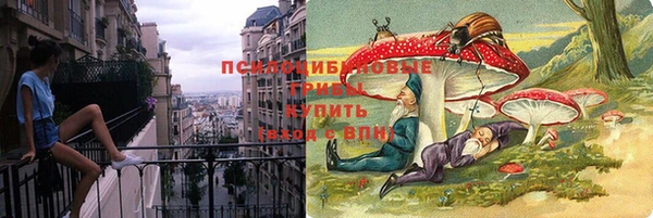 сатива Балахна