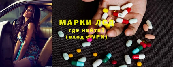 сатива Балахна
