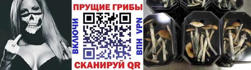 Псилоцибиновые грибы Magic Shrooms Калуга
