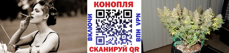 закладка  Калуга  Канабис MAZAR 